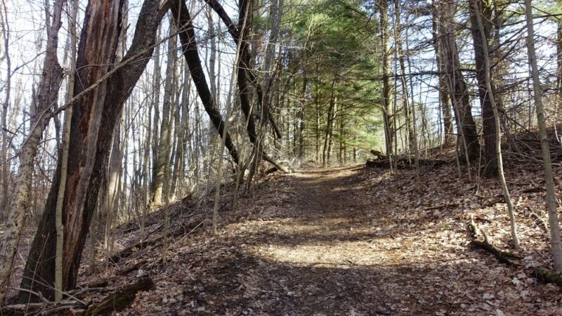 Sunken Garden Trail - Portersville, PA