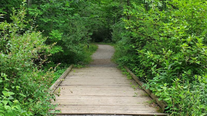 Sunken Garden Trail - Portersville, PA