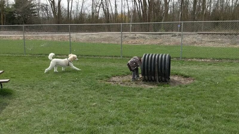 Hudson Family Park - Portland, IN