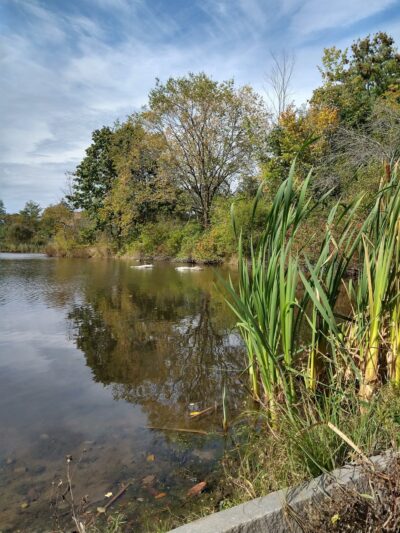Capisic Pond Park - Portland, ME