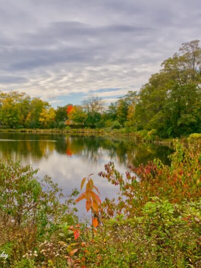 Capisic Pond Park - Portland, ME