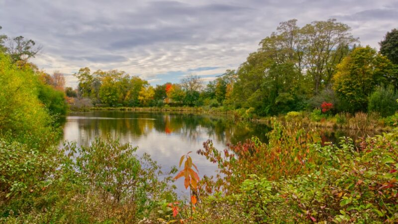 Capisic Pond Park - Portland, ME