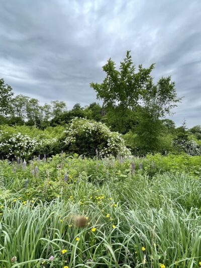 Capisic Pond Park - Portland, ME