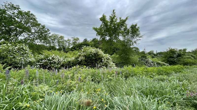 Capisic Pond Park - Portland, ME