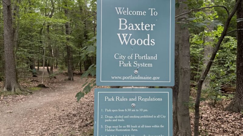 Mayor Baxter Woods - Portland, ME