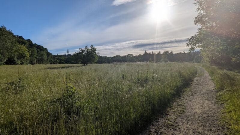 Oaks Bottom Wildlife Refuge - North Parking & Trailhead - Portland, OR
