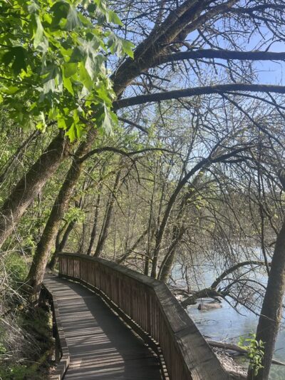Oaks Bottom Wildlife Refuge - North Parking & Trailhead - Portland, OR