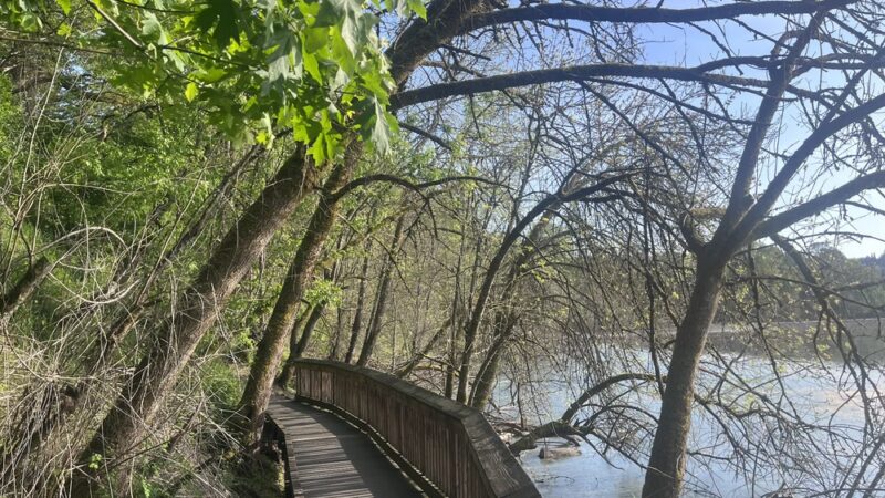 Oaks Bottom Wildlife Refuge - North Parking & Trailhead - Portland, OR