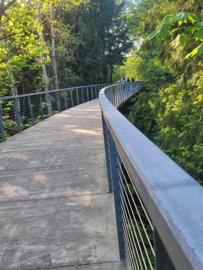 Orange Bridge (bouncy bridge) - Portland, OR