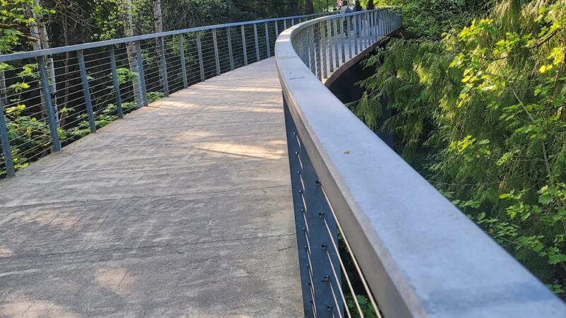 Orange Bridge (bouncy bridge) - Portland, OR