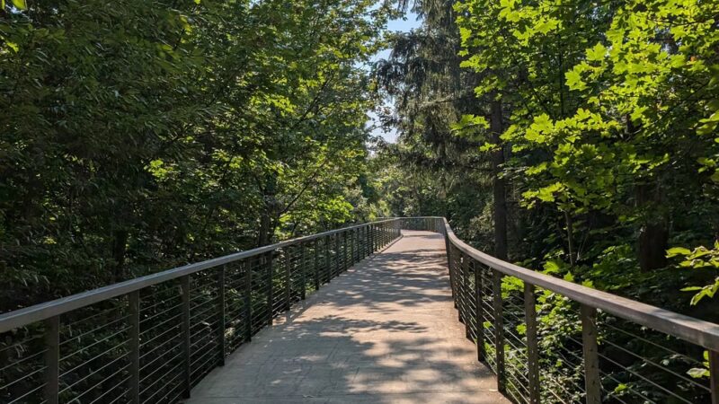Orange Bridge (bouncy bridge) - Portland, OR
