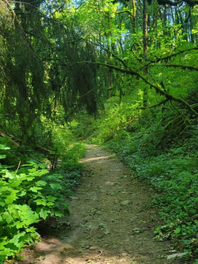 Towhee Trailhead - Portland, OR