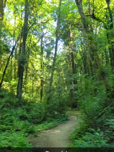 Towhee Trailhead - Portland, OR