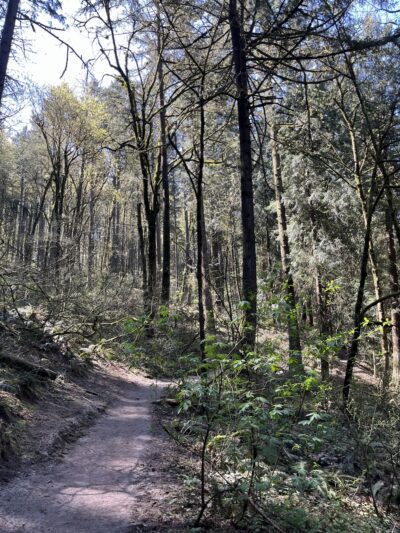 Towhee Trailhead - Portland, OR
