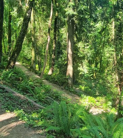 Towhee Trailhead - Portland, OR