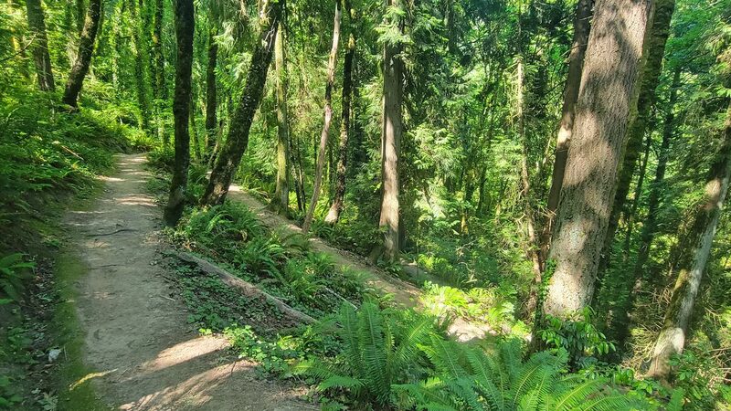 Towhee Trailhead - Portland, OR
