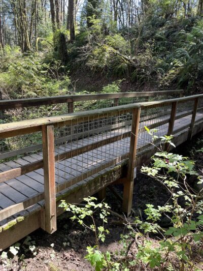 Towhee Trailhead - Portland, OR