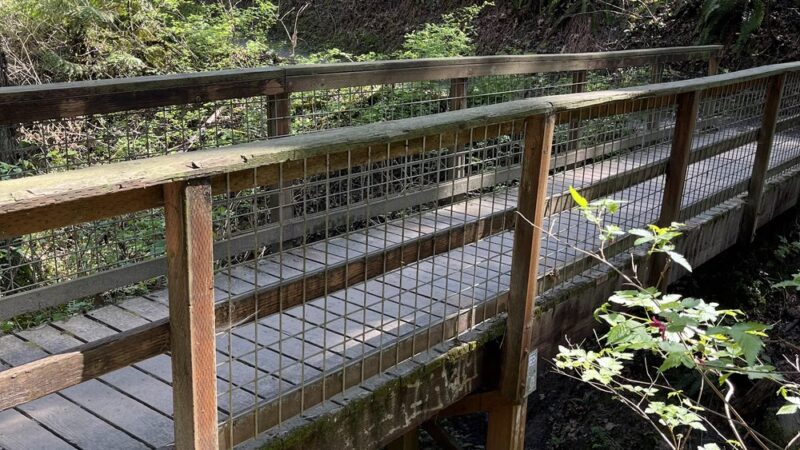 Towhee Trailhead - Portland, OR