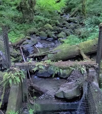 Tunnel Trail - Portland, OR