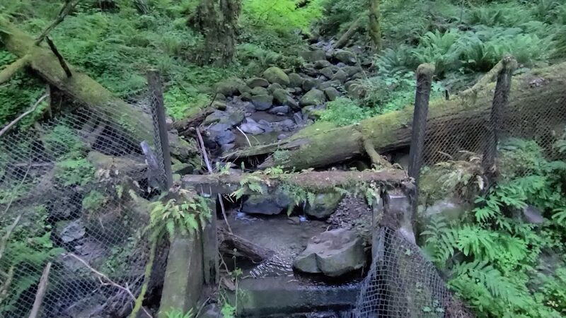Tunnel Trail - Portland, OR