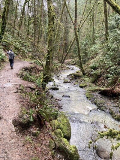 Wildwood Trail - Portland, OR