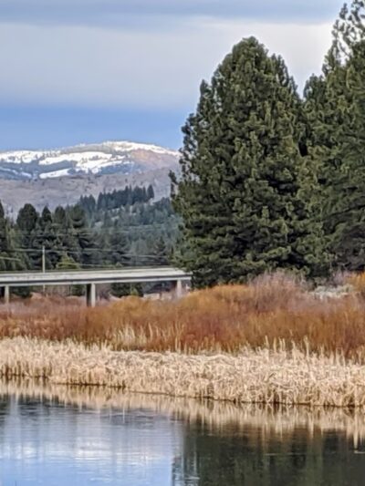 Dog Park - Portola, CA