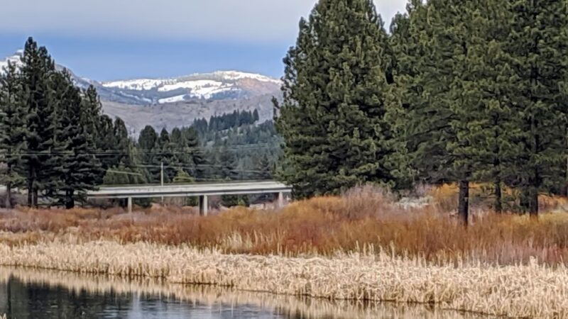 Dog Park - Portola, CA