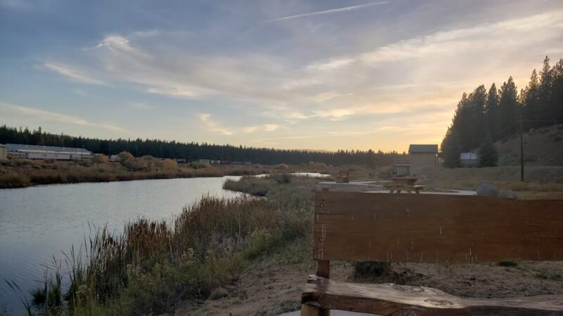 Dog Park - Portola, CA