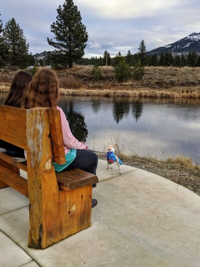 Dog Park - Portola, CA