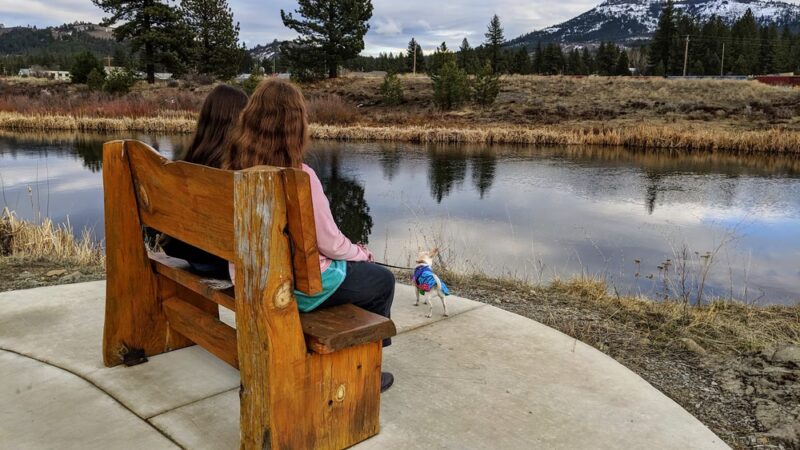 Dog Park - Portola, CA