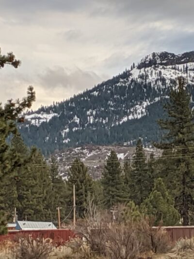 Dog Park - Portola, CA