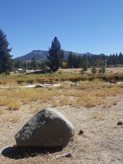 Dog Park - Portola, CA