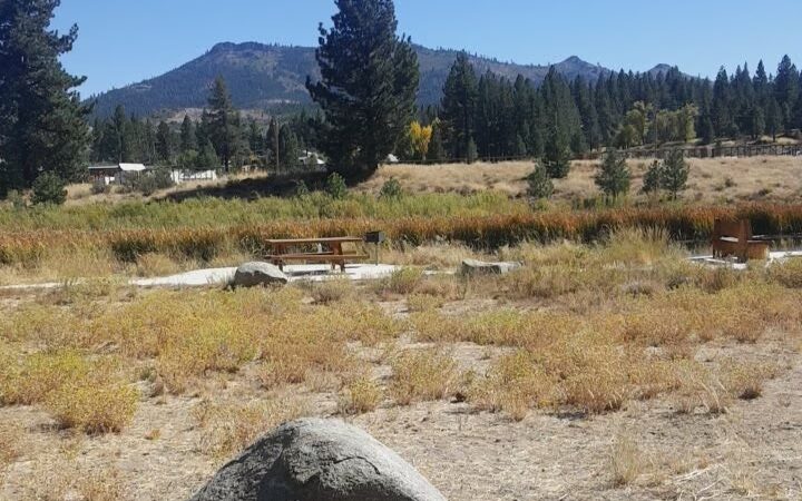 Dog Park - Portola, CA