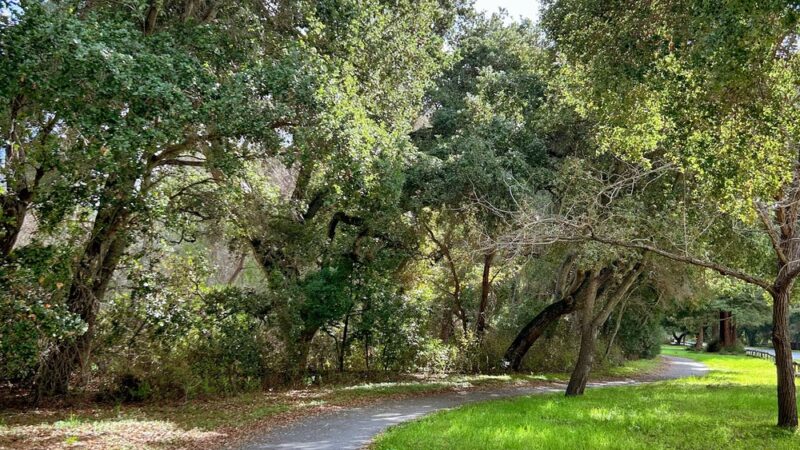 Alpine road bicycle trail - Portola Valley, CA