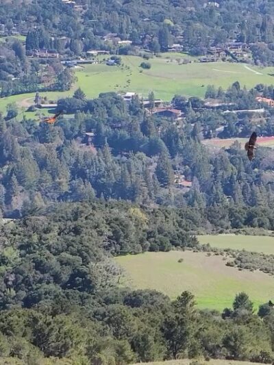 Alpine Trail (Trailhead) - Portola Valley, CA