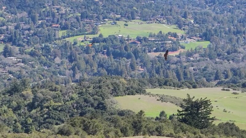 Alpine Trail (Trailhead) - Portola Valley, CA