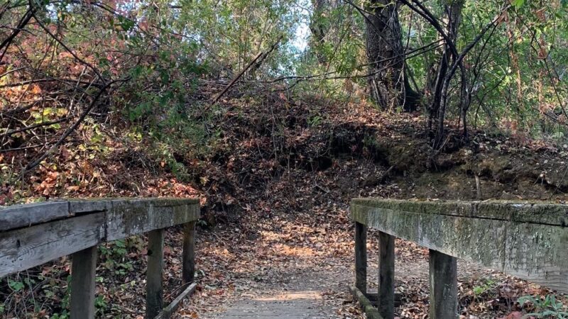 Alpine Trail (Trailhead) - Portola Valley, CA