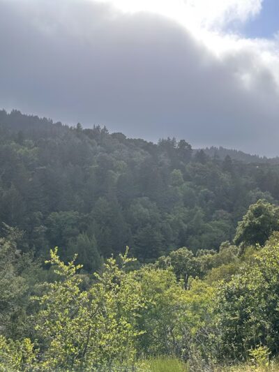 Alpine Trail (Trailhead) - Portola Valley, CA