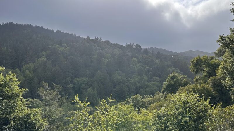 Alpine Trail (Trailhead) - Portola Valley, CA
