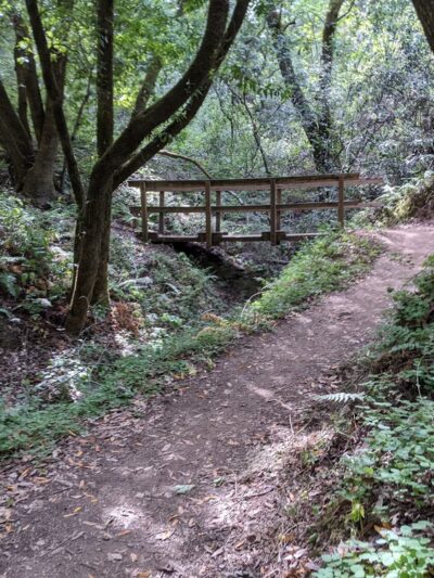 Fern Loop Trail - Portola Valley, CA