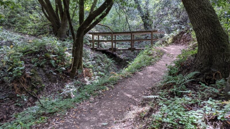 Fern Loop Trail - Portola Valley, CA