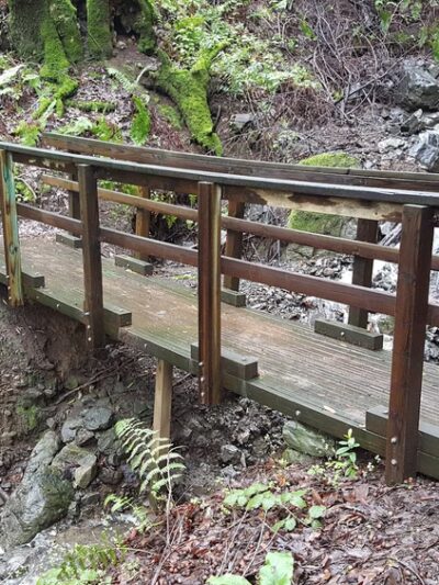 Fern Loop Trail - Portola Valley, CA