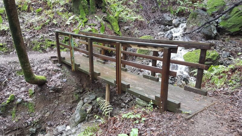 Fern Loop Trail - Portola Valley, CA