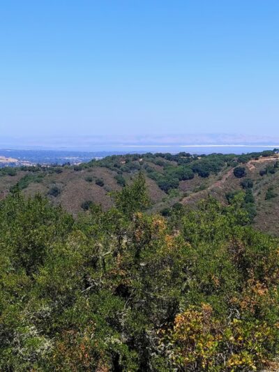 Fern Loop Trail - Portola Valley, CA