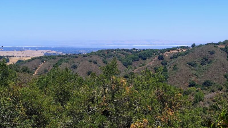 Fern Loop Trail - Portola Valley, CA