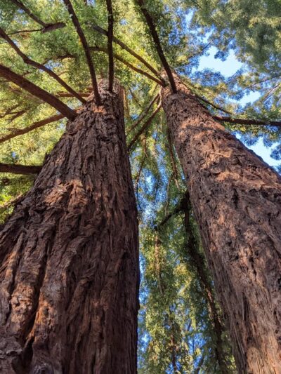 Little People's Park - Portola Valley, CA