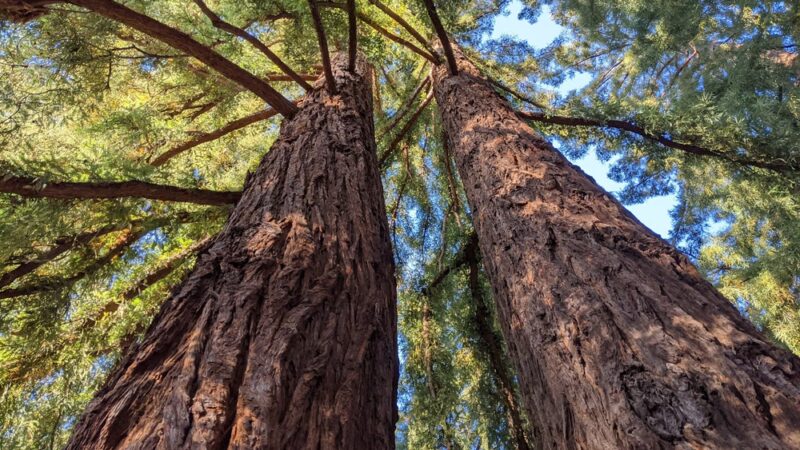 Little People's Park - Portola Valley, CA