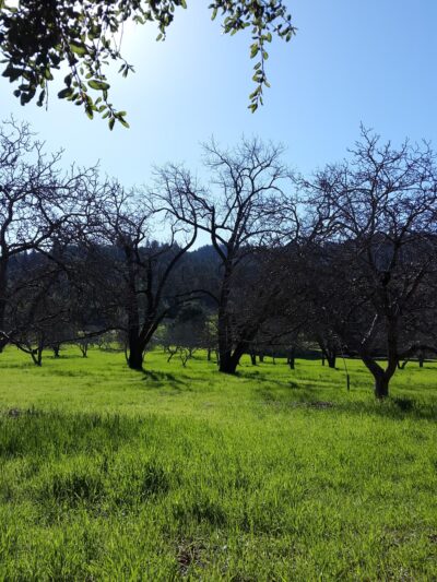 Little People's Park - Portola Valley, CA