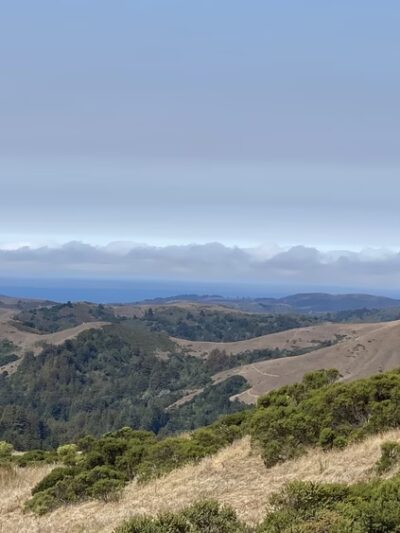 Lost Trail - Portola Valley, CA