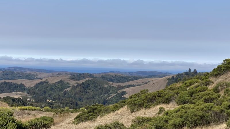 Lost Trail - Portola Valley, CA